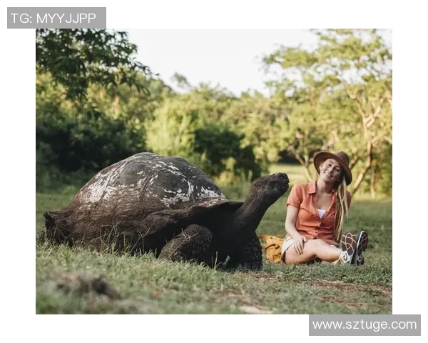 从街头到赛场美国篮球明星的环保之路与捡垃圾的故事