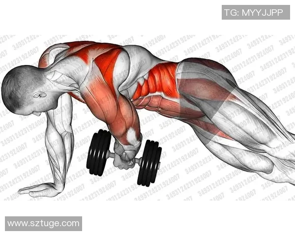 使用哑铃锻炼腹肌的有效方法与技巧分享，助你塑造完美腹部线条